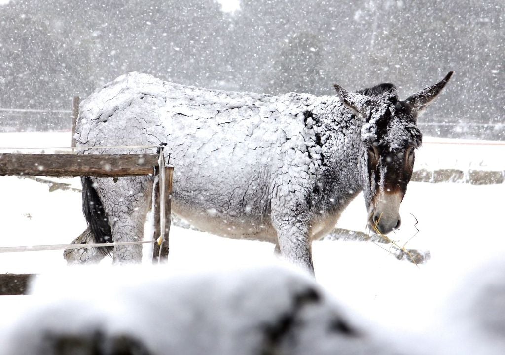 schnee, wetter, deutschland