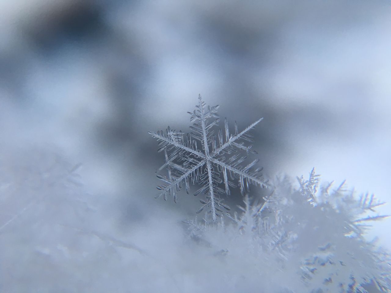 Schneesterne - wirklich einzigartig