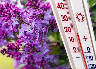 Schockierende Prognosen: Februar und März könnten wärmer als je zuvor werden – Droht Deutschland eine Klima-Hitzewelle?