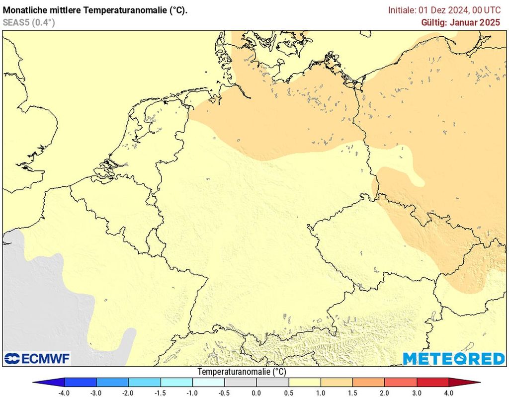 januar 2025, warm, winter januar 2025, warm, winter