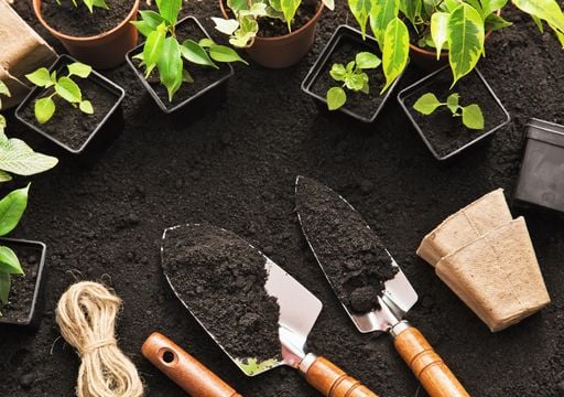 Schon ernten im Fr&uuml;hling? Mit Spinat ist der Start ins G&auml;rtnern einfach perfekt