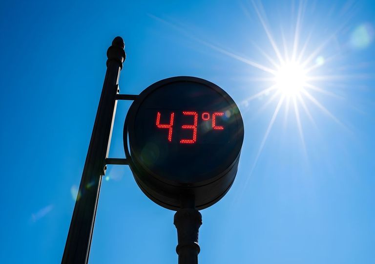 &bdquo;Schon wieder 40 Grad!" &ndash;Der n&auml;chste Gluttag steht fest, doch die wahren Hundstage kommen erst noch