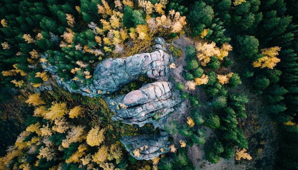 Sollten die Bäume der Taiga verloren gehen, könnten 40 Gigatonnen Kohlenstoff freigesetzt werden. Sollten die Bäume der Taiga verloren gehen, könnten 40 Gigatonnen Kohlenstoff freigesetzt werden. Bild: Dmitrii Shirnin/Unsplash