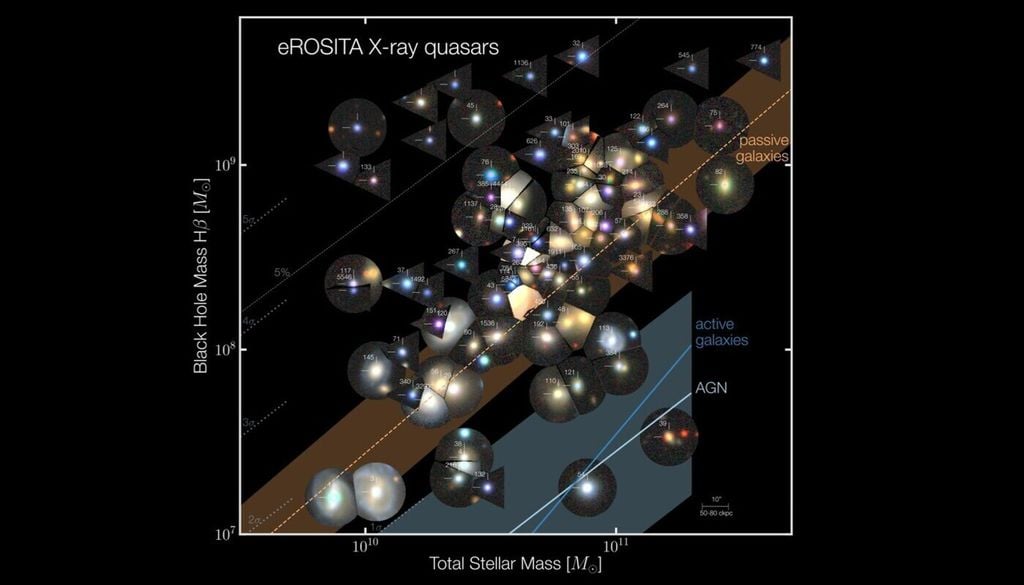 Ergebnisse der Messungen der Sternenmasse (aus ultraviolett bis infrarot Bildern) und der Masse des schwarzen Lochs (aus Spektren). Die optischen Galaxienbildausschnitte sind bei den Messwerten positioniert. Bild: Buchner et al., 2026
