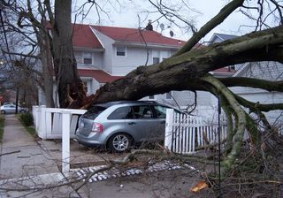 Unwetter durch schweren Sturm: Absage der Rosenmontagsumzüge sinnvoll!