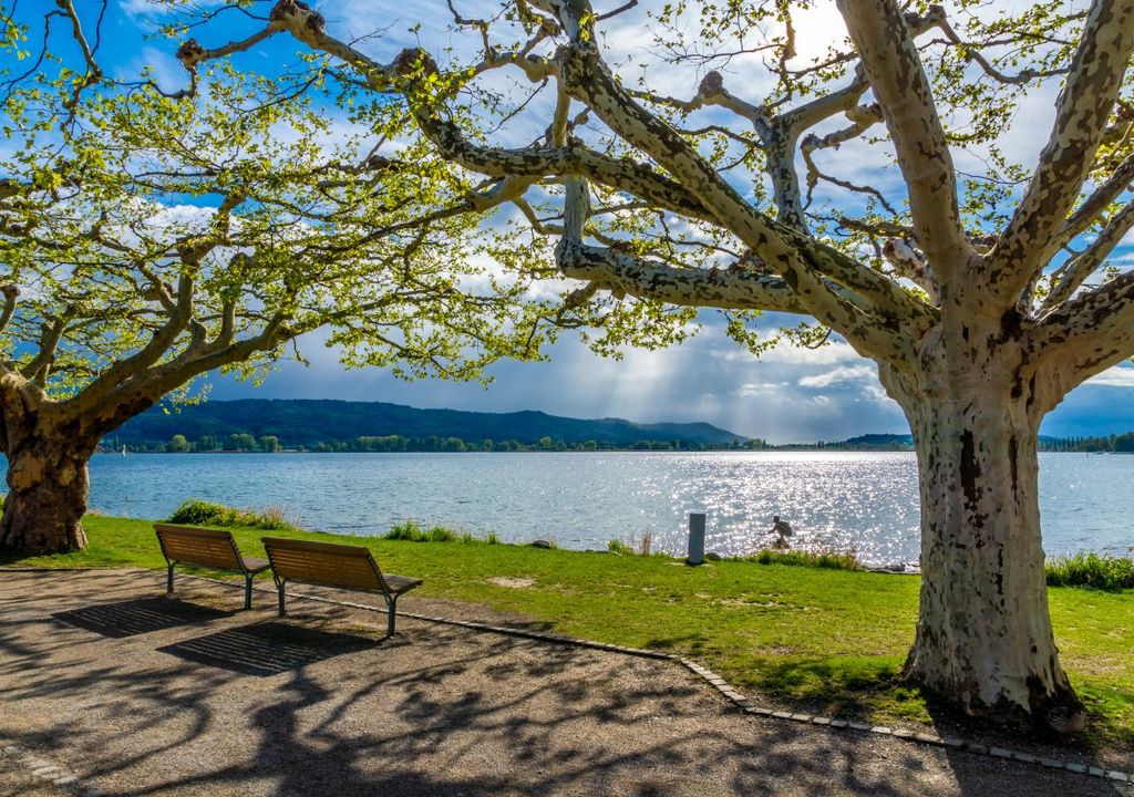 Frühling im Februar