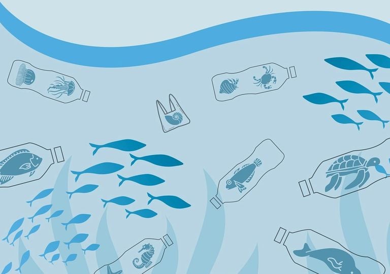 Scientists announce a plastic to solve the growing microplastic problem