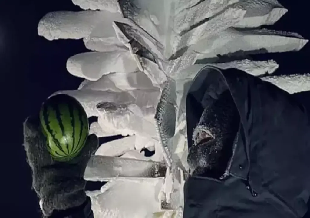In der Antarktis angebaute Wassermelone