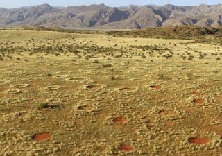 Gli scienziati confermano perché ci sono misteriosi cerchi fatati in Namibia
