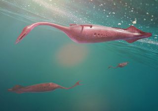 Scientists may finally have explained what a Tully monster is