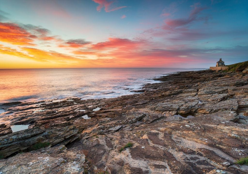 La plage de Howick, où le spécimen de mille-pattes a été trouvé.