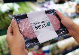 Cientistas descobrem nova forma de tornar mais saborosas as alternativas de carne à base de plantas