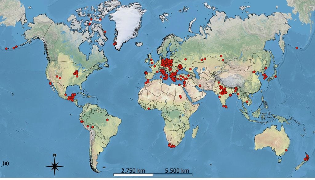 Mappa che mostra la distribuzione mondiale (a) dei siti archeologici (punti rossi) nei quali sono stati condotti studi sulla biodiversità, con un dettaglio del bacino del Mediterraneo (b). La barra di scala rappresenta la distanza ellissoidale (geodetica).