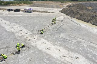 Sorprendente scoperta paleontologica: vicino Oxford emerge una "autostrada dei dinosauri" con piste ed enormi orme