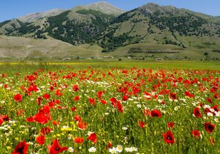 Scopri tutti i 25 parchi nazionali d’Italia: ne è appena nato uno nuovo e le aree protette superano 3 milioni di ettari!