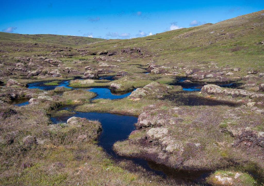 A wetland area forming peat in Shetland, Scotland