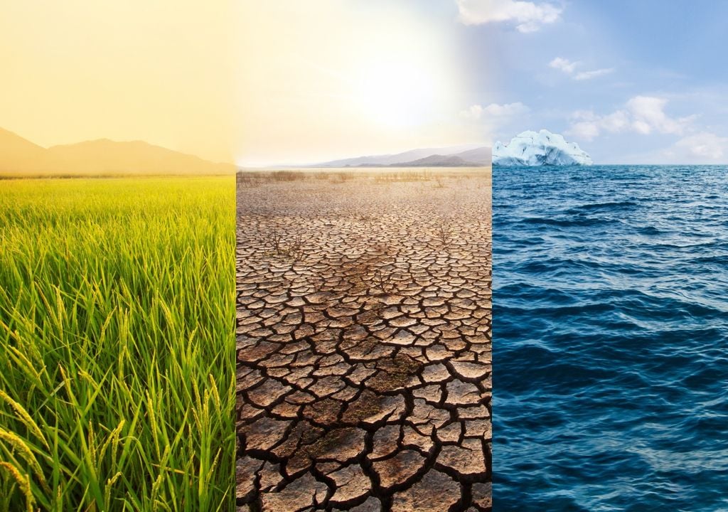 niño Después de varios años con déficit hídrico, el campo argentino vuelve a mirar al cielo con optimismo, aunque sin perder de vista el riesgo de excesos de agua.