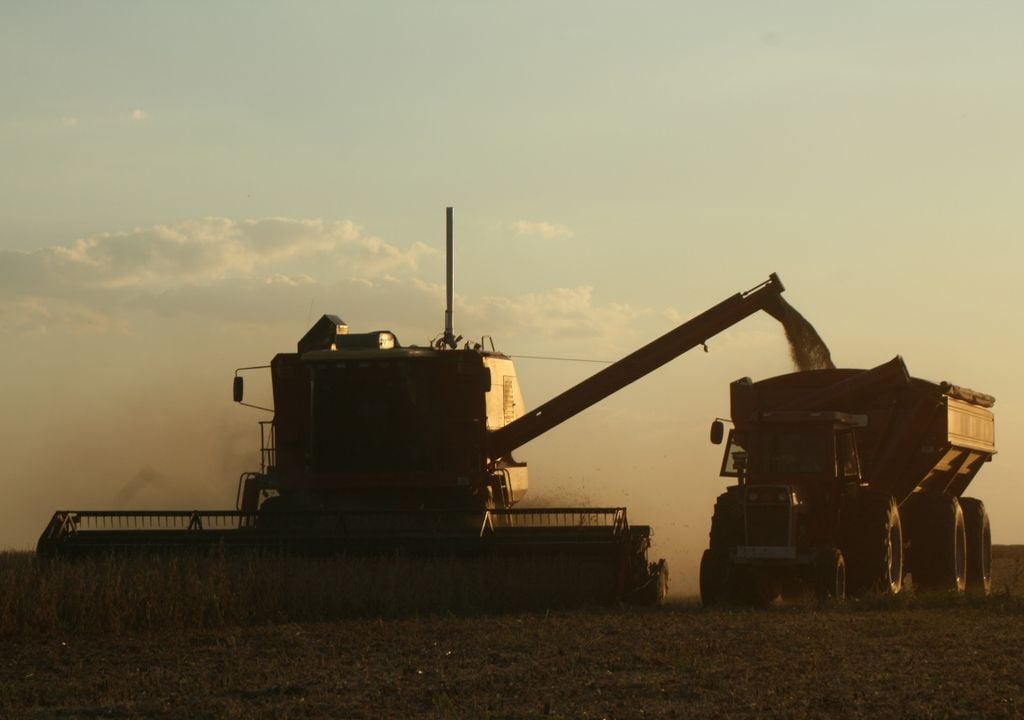 niño Después de varios años con déficit hídrico, el campo argentino vuelve a mirar al cielo con optimismo, aunque sin perder de vista el riesgo de excesos de agua.