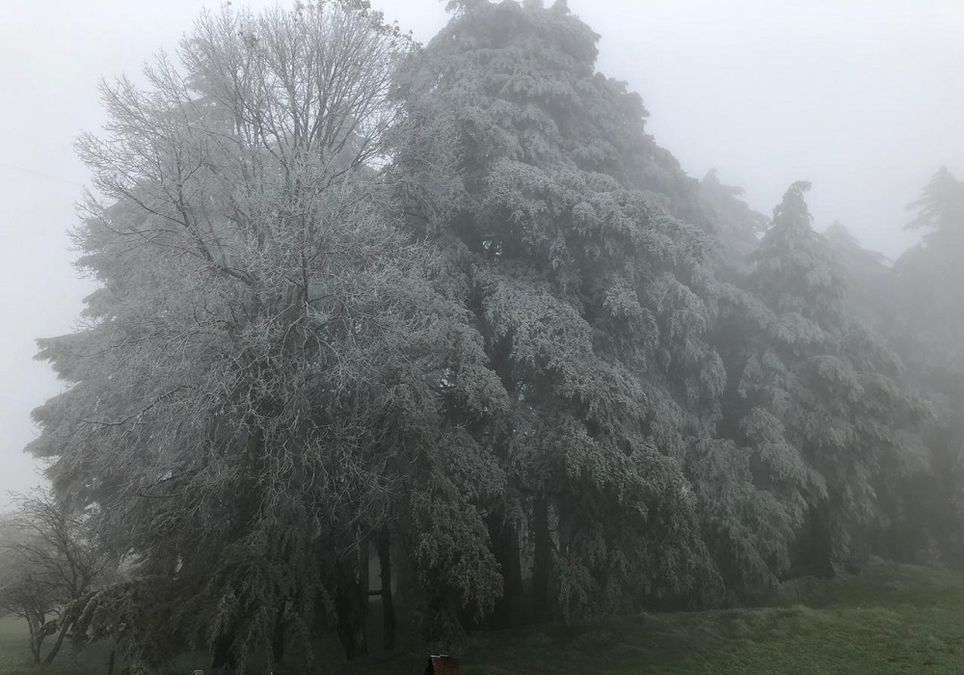 Invierno 2018 en el Estado de Veracruz. Fotografía : José Martín Cortés Invierno 2018 en el Estado de Veracruz. Fotografía : José Martín Cortés