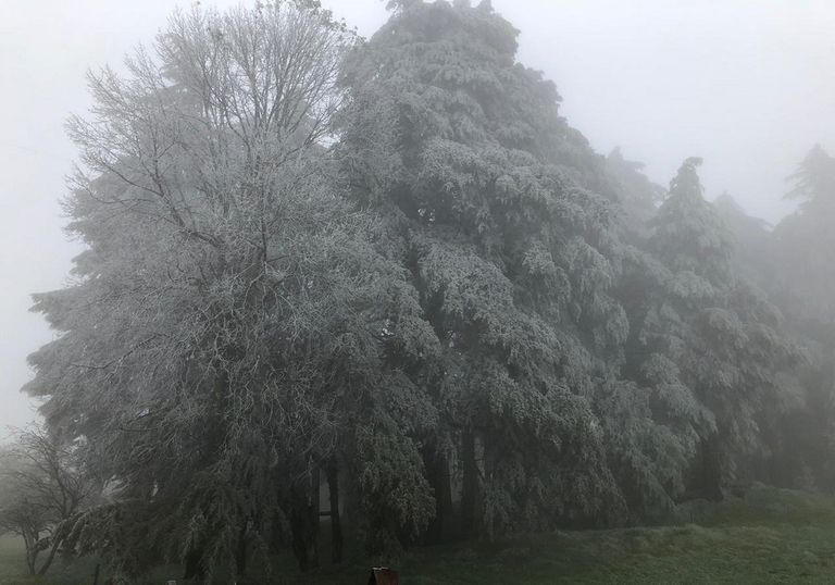 Invierno 2018 en el Estado de Veracruz. Fotografía : José Martín Cortés Invierno 2018 en el Estado de Veracruz. Fotografía : José Martín Cortés