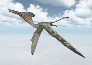 A família expandiu-se: um novo estudo identificou cerca de 50 novos parentes de pterodáctilos... e de todos os tamanhos!