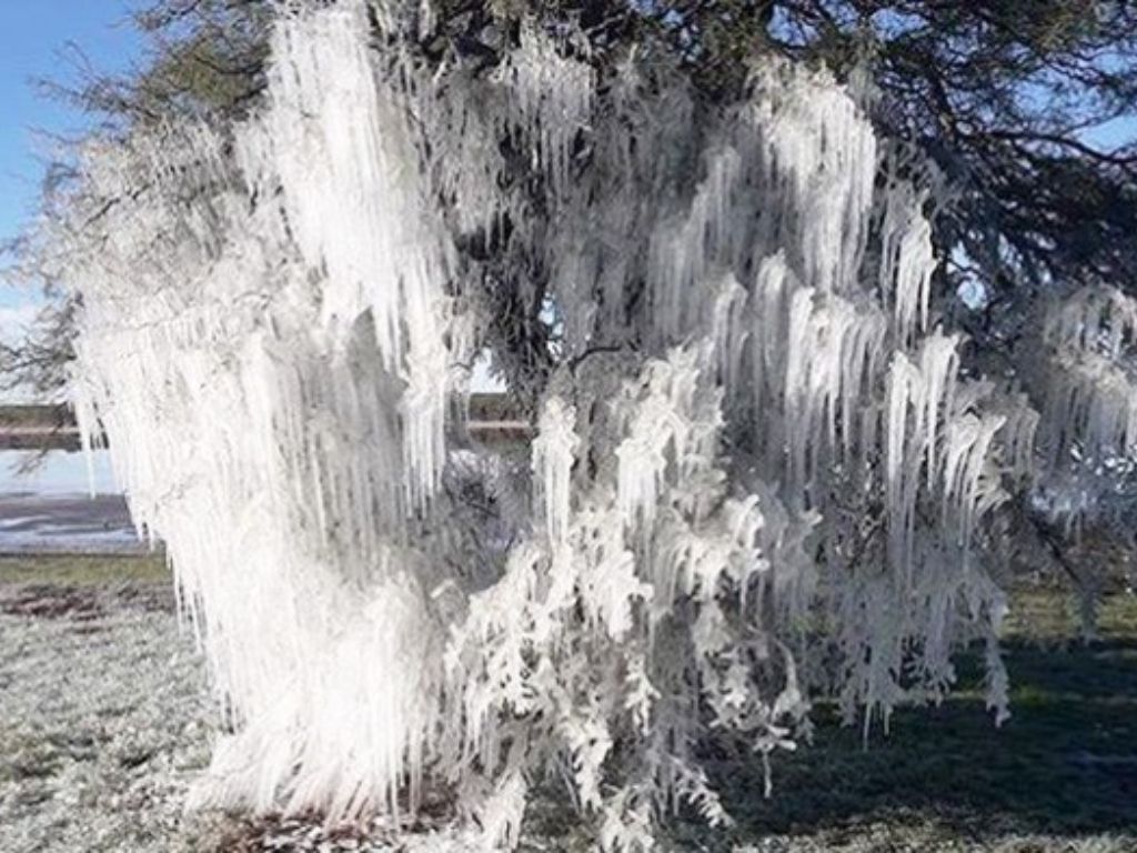 Calden congelado La Pampa