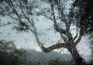 Se aproxima frente frío número 15 al norte de México