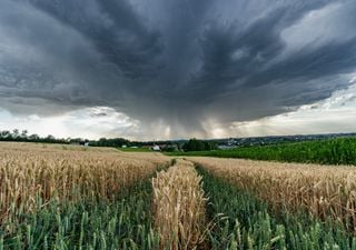 Se aproxima otra tarde con nubes de tormenta en varias comunidades del interior y norte peninsular