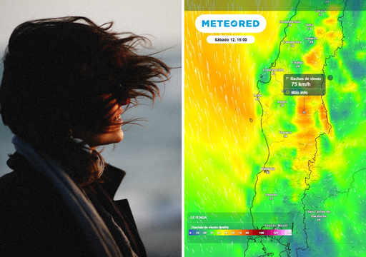 Se aproxima viento Puelche superior a 60 km/h, helada matinal de -4 &deg;C y tarde cercana a los 20 &deg;C en Chile centro-sur
