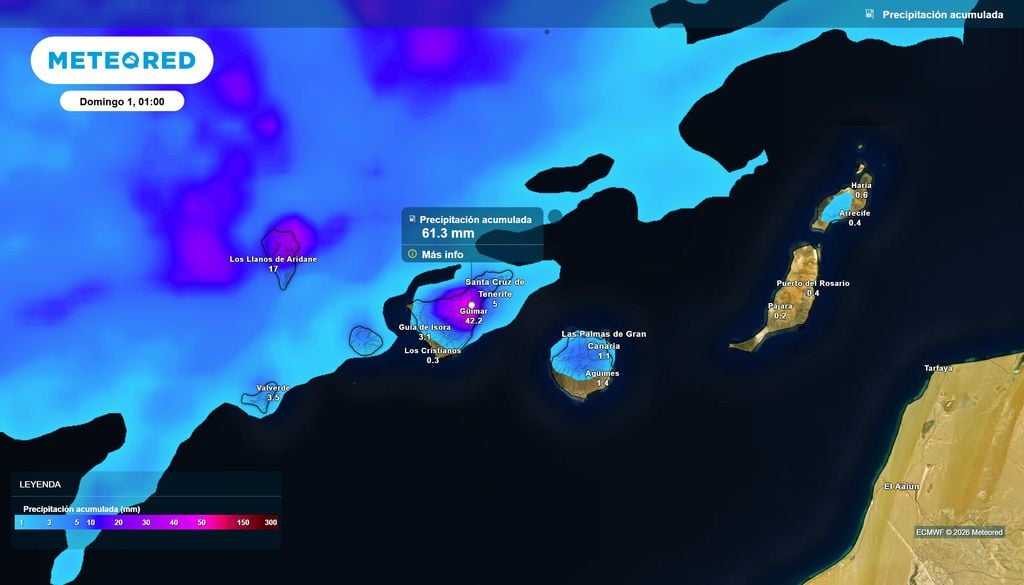 Las precipitaciones serán cuantiosas en el archipiélago canario, con acumulados elevados en las islas más occidentales.