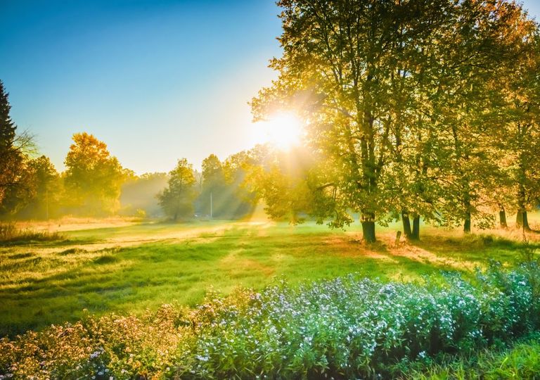 ¡Llega La Niña! Los efectos que podría tener este invierno en España ¡Llega La Niña! Los efectos que podría tener este invierno en España