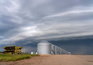 &iquest;Se corta la racha? El SMN prev&eacute; un invierno con m&aacute;s lluvias y un fr&iacute;o menos riguroso que el de mayo