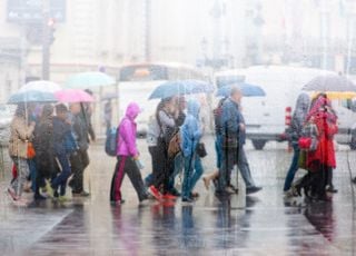 Se dirige-t-on vers l'année la plus humide du siècle en France ? 