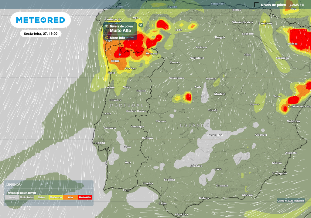 Para a próxima sexta-feira, 27 de março, o CAMS vislumbra níveis de pólen altos ou muito altos em quase toda a Região Norte.