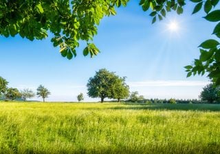 Se fortalece el ascenso de temperaturas en el país