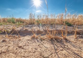 Se intensifica el nivel de sequía en la península de Yucatán