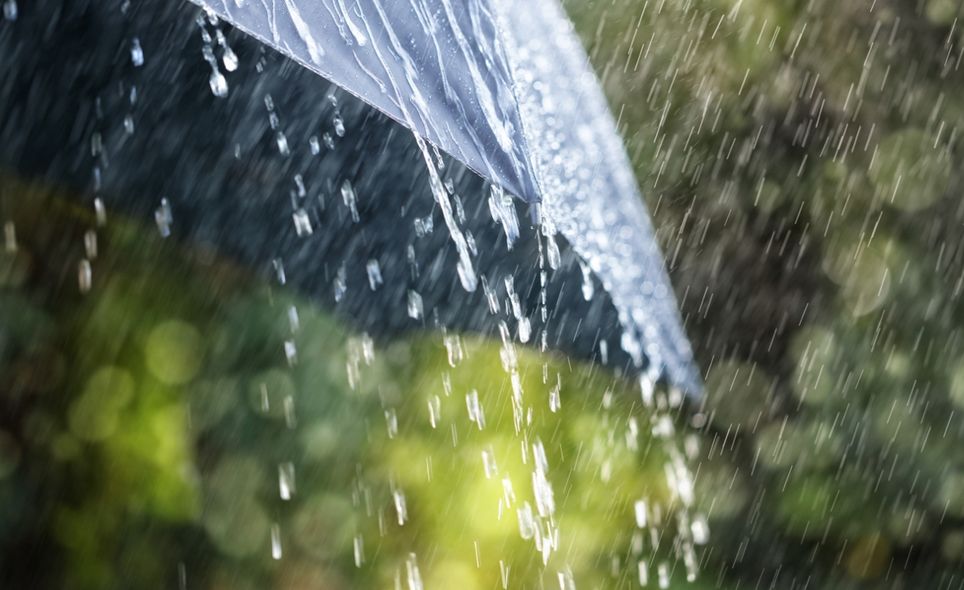 Lluvias Lluvias