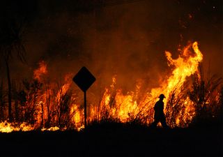 ¿Se podrían haber evitado los incendios de Australia?