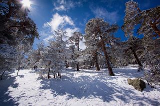 Pronóstico para enero: ¿con más frío y nevadas de lo normal?