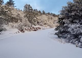 Se presentan nevadas en el noroeste de México