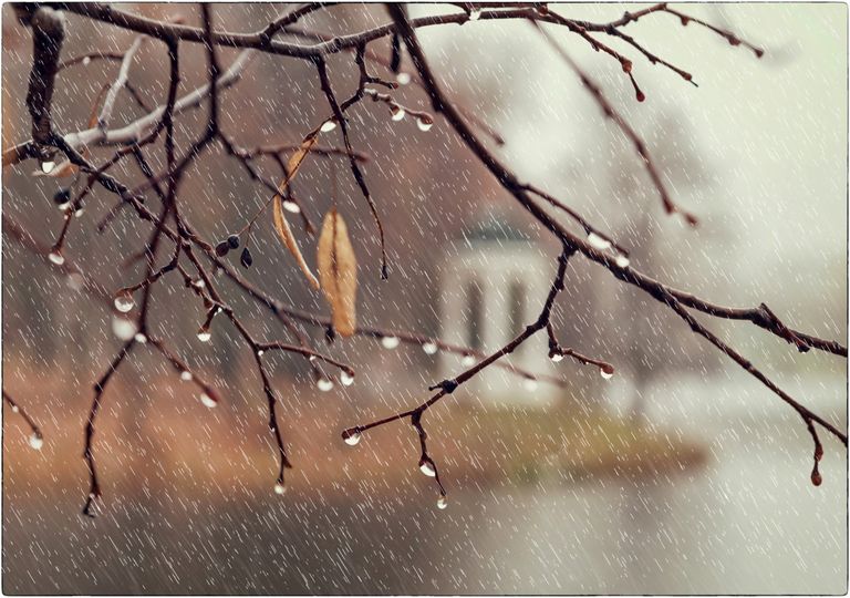 Precipitación Precipitación