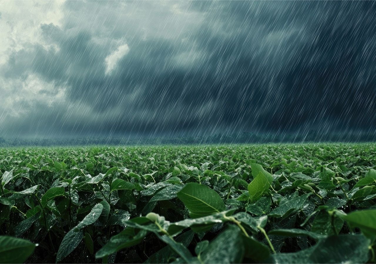 Este miércoles y jueves, lluvias fuertes a severas con granizo y viento se prevé entre Coahuila, Nuevo León y Tamaulipas con mayores a 100 mm; más dispersas en estados del centro-oriente.