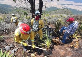 Se propagan los incendios forestales y aumentan los días calurosos al Norte