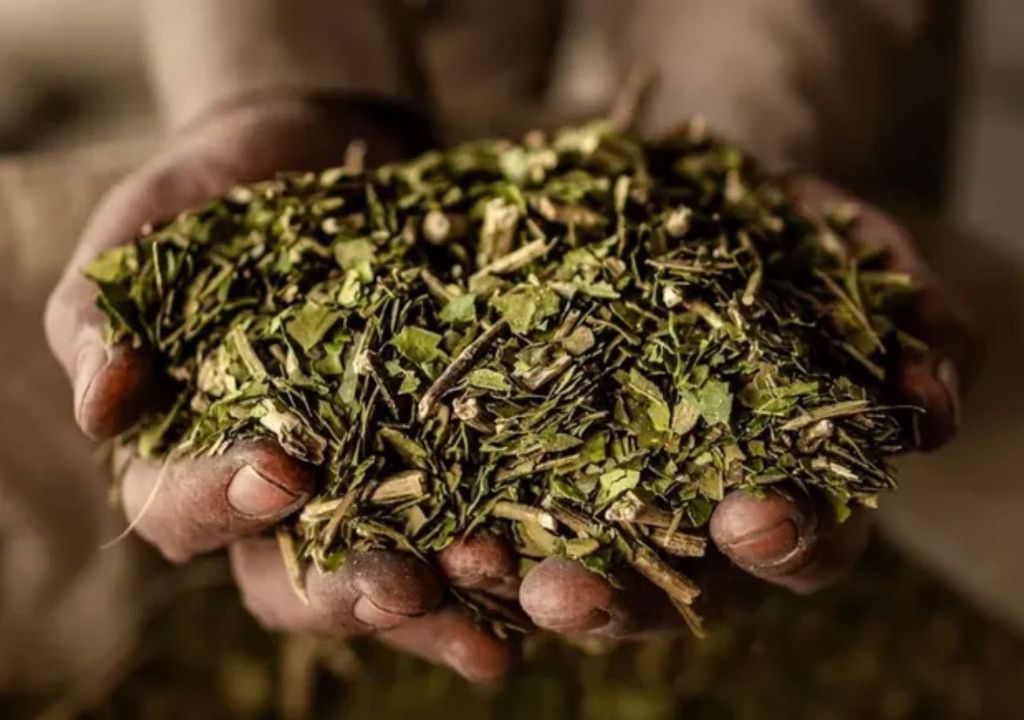 llevar mate en el avión