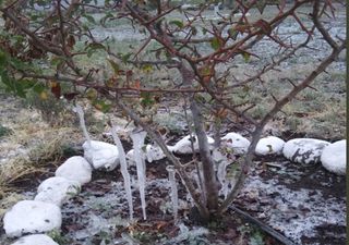Se registra fuerte helada al norte del estado de Coahuila