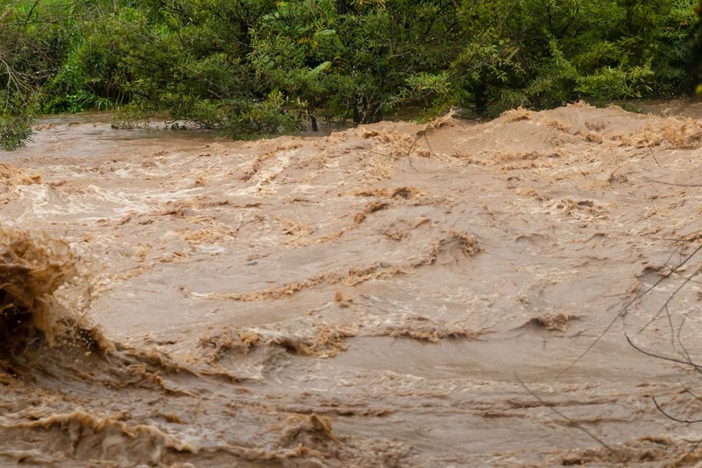 Crece río de Autlán de Navarro, arrastra lodo, piedras, troncos y materia orgánica de incendios registrados en junio
