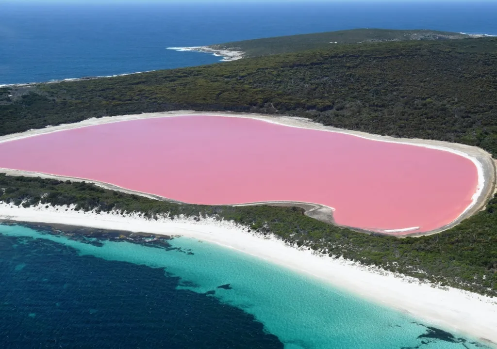 Le Lac Hillier, sur l'île Middle, une île d'environ 5 kilomètres et demi de long dans le sud de l'Australie.