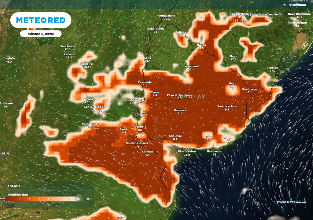 Niebla, Neblina, Visibilidad, Rutas, Buenos Aires, Argentina, Pronóstico