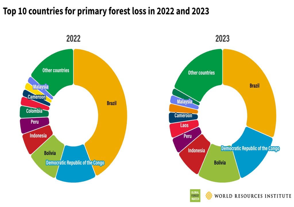 Perdida de bosques por países