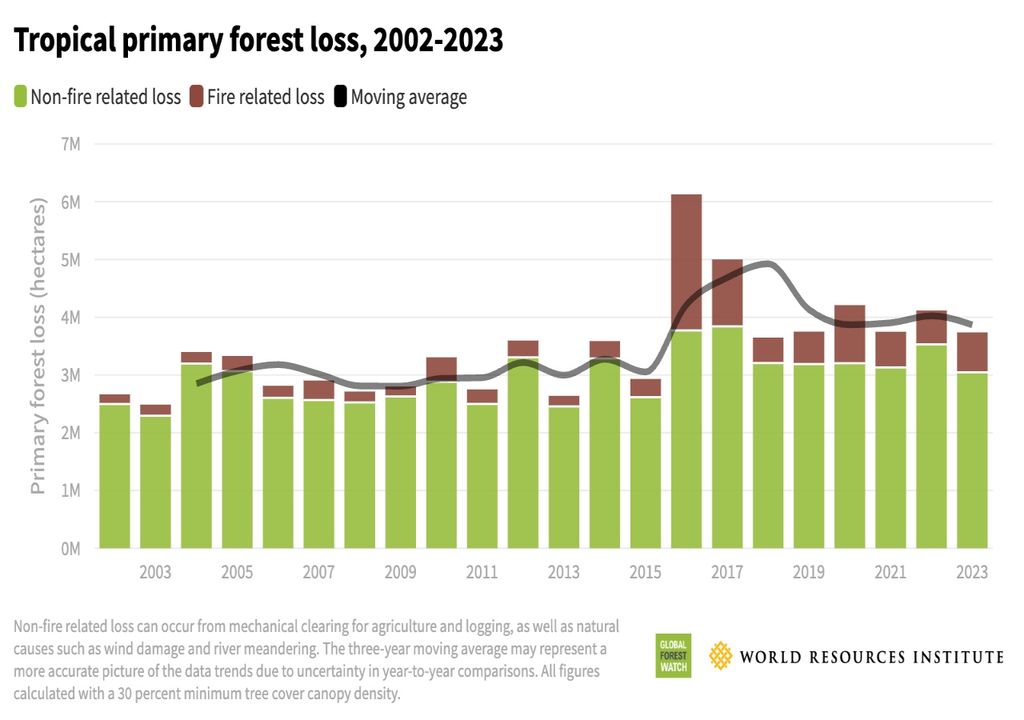 Perdida de bosques primarios 2002 a 2023